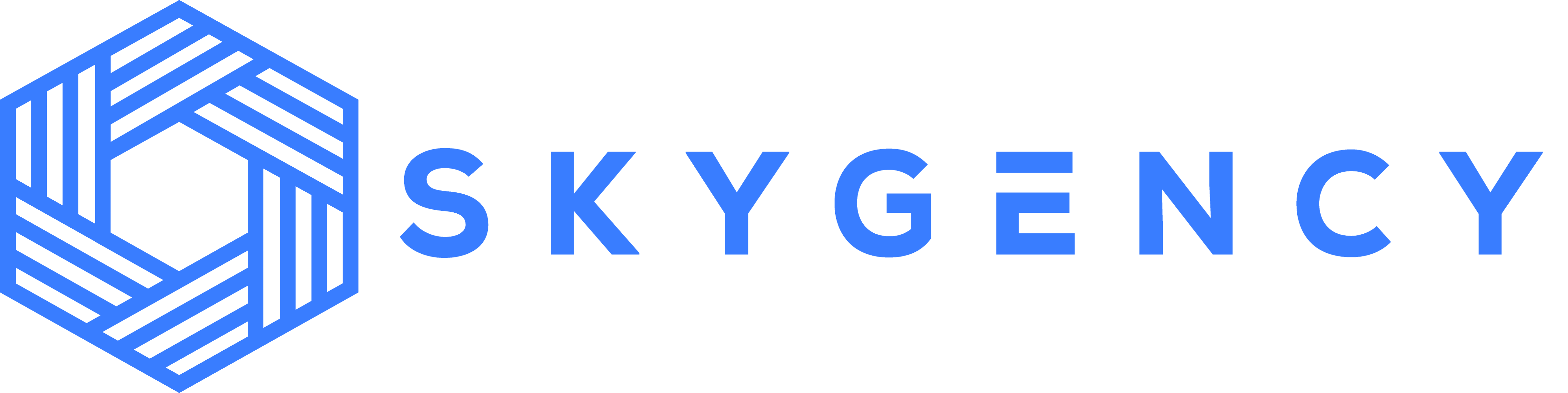 SkyGency